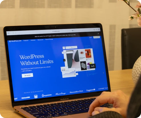 Claude code CMS plugin development
